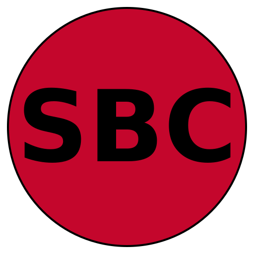 SteadyBridge Careers